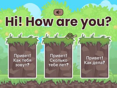 Starters' questions quiz