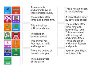 G3 T2 2024 2025 End of term Exam vocabulary 