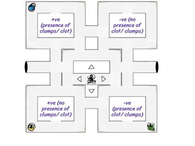 Me as a bacterium! ~ Lancefield Group A