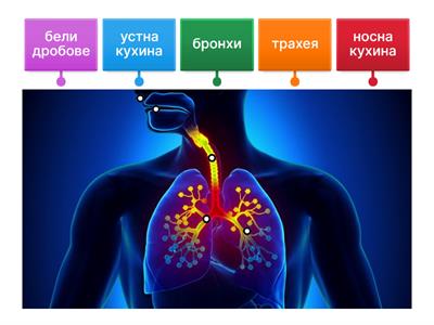 Дишане и здраве - 5 клас