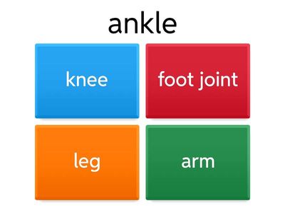 Excel 9 Vocabulary 4a