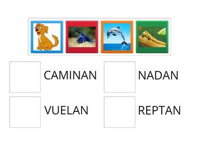 UNE LOS ANIMALES SEGUN SU DESPLAZAMIENTO