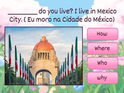 Question words who how what when why