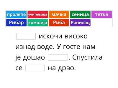 СЈ4. Субјекат