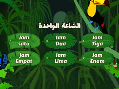 Jam 