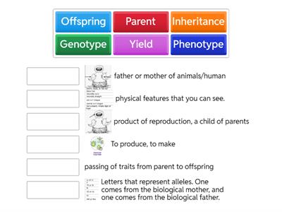 trait vocab add more