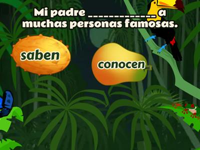 Saber vs Conocer