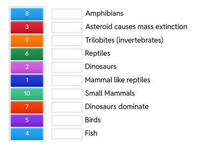 Animal kingdom geologic timeline