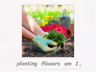 Present Continuous (Jumbled Words)