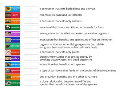 Ecology Vocabulay 