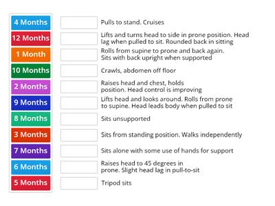 INFANT - Gross Motor Skills 