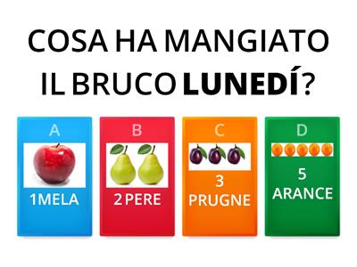 QUIZ IL BRUCO MAI SAZIO