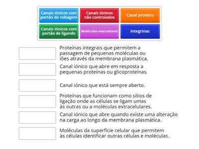 Membrana Plasmática 5