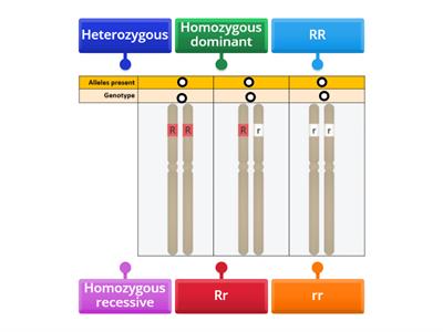 Genetics terminology