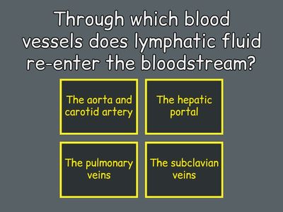Lymphatic System Quiz