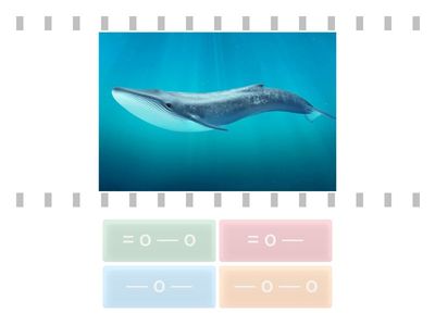 Розрізняю и та і 