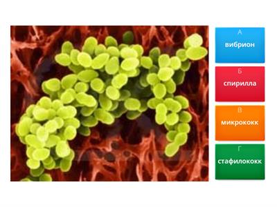 микробиология