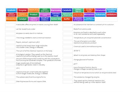 LC Biology - Enzyme Definitions