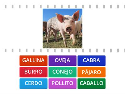 Animales de la granja