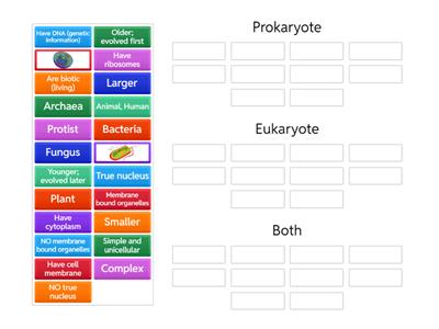 Prokaryote vs. Eukaryote Sort