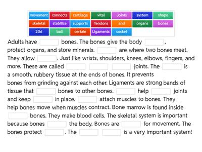 SKELETAL SYSTEM