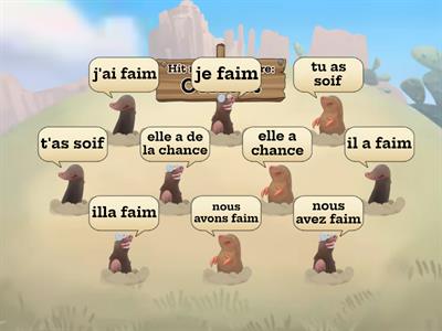 French: expressions with "avoir"