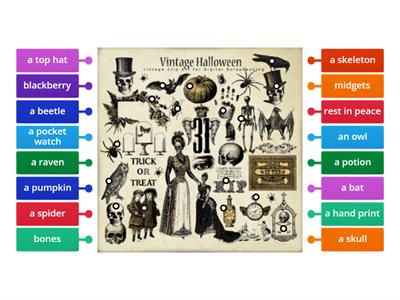 Halloween vocabulary