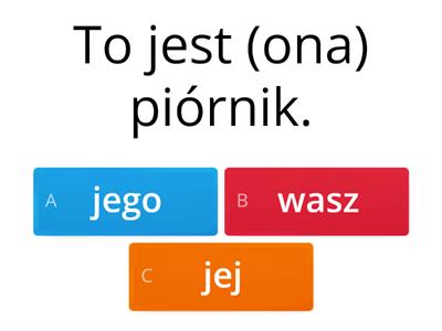 Zaimki dzierżawcze jpjo