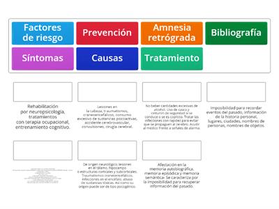 Material psicoeducativo - Amnesia Retrógrada                                                                            