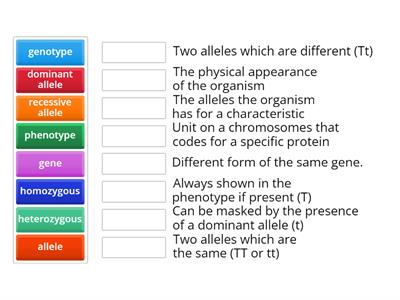 Genetic vocabulary match up