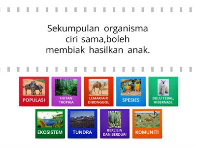  SALING BERSANDARAN DAN INTERAKSI ANTARA ORGANISMA