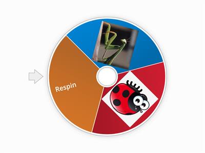 Bug spinner