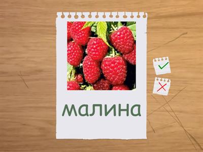 Урок ягоды для ЕК