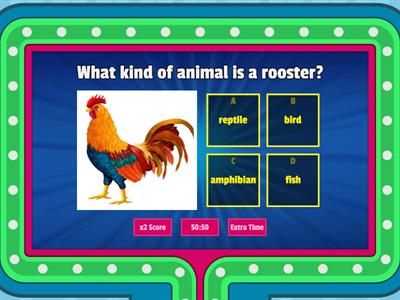 Animal classification