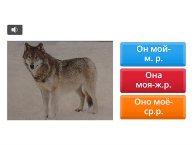 Определи род имен существительных