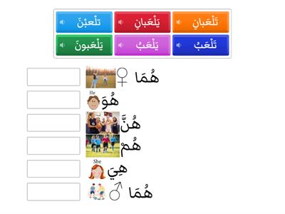 Third Person Pronouns/The Absent Pronouns