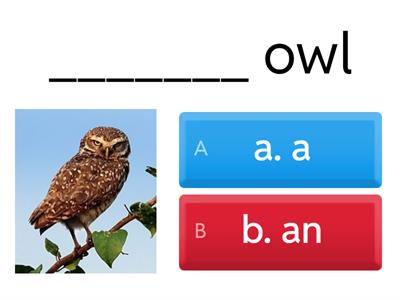 Adjectives - Articles a and an