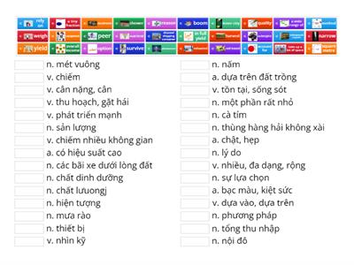 CAM 18 - R1 - VOCABS P3