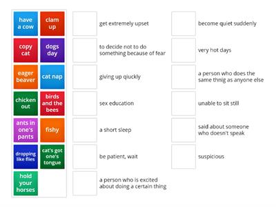 idioms animals1