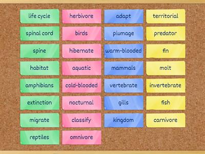 Animal Classification Vocabulary