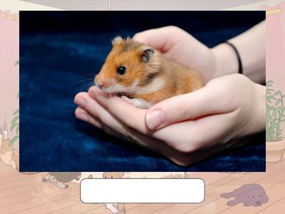 Go Getter 1 7.2 Dictation