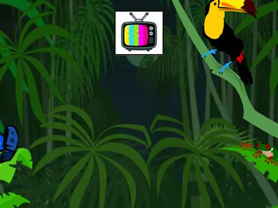 Cognates- Flying fruit