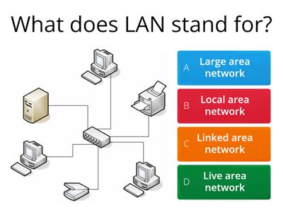 network quiz