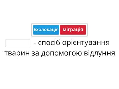 Способи орієнтування. Міграції. Хомінг