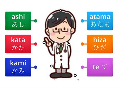 Body parts Diagram あたま　かた　ひざ　あし　て　かみ