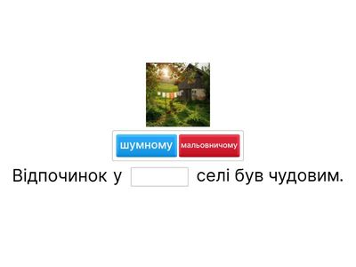 Вправа 2. Підставте правильний прикметник у місцевому відмінку відповідно до ситуації