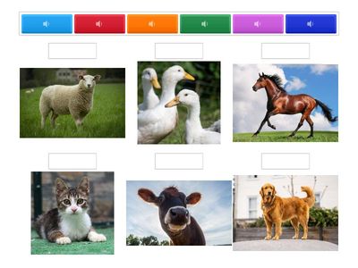 Sunetele animalelor domestice