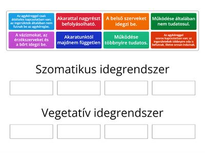 Zsigeri idegrendszer Biológia 8.