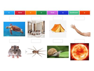 Grade 1- Review+ Phonics