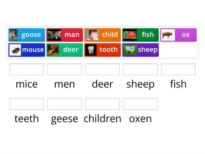  Irregular plurals